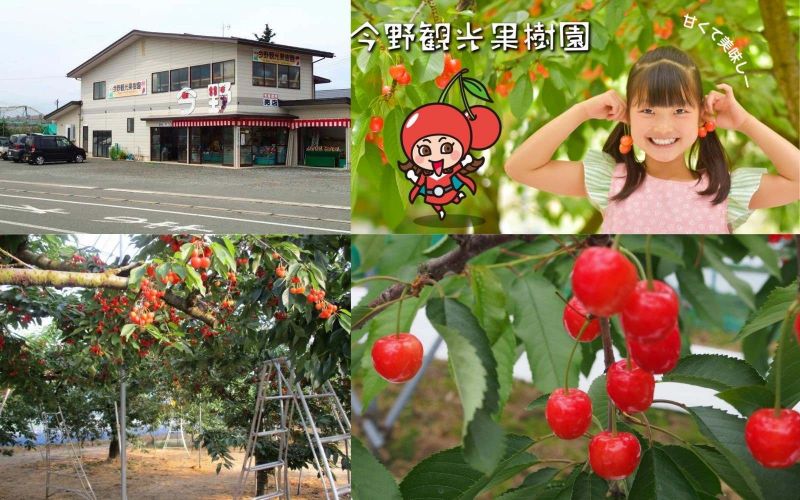 konno-kanko-kajuen-2